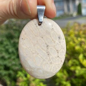 Fossilized Coral Pendant Necklace